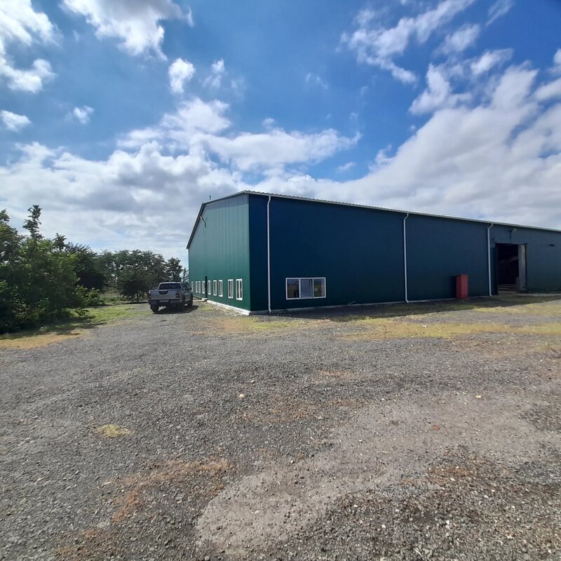 Surdila-Gaiseanca, Braila.